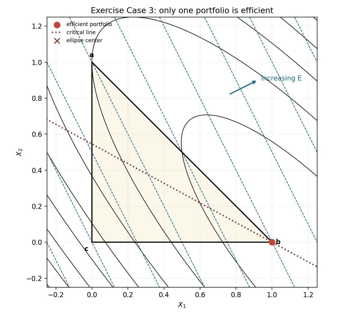 Exercise case where only one portfolio is efficient